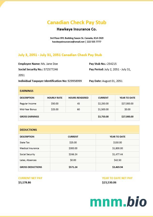 Canadian Check Pay Stub Template